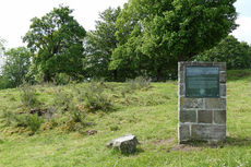 Der Hasunger Berg (Foto: Karl-Franz Thiede)